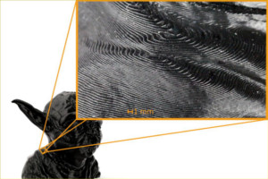 Layer structure of a 3D printing