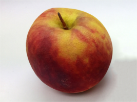 Apple in Colorjet full-color Z-print process