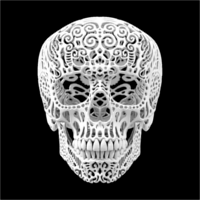 Skull PA12 SLS 3D printing